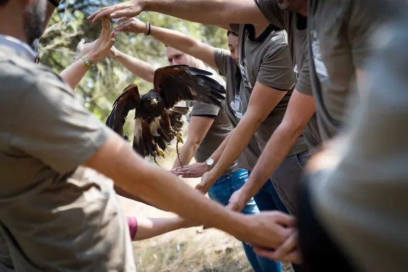 Actividad para empresa en la naturaleza