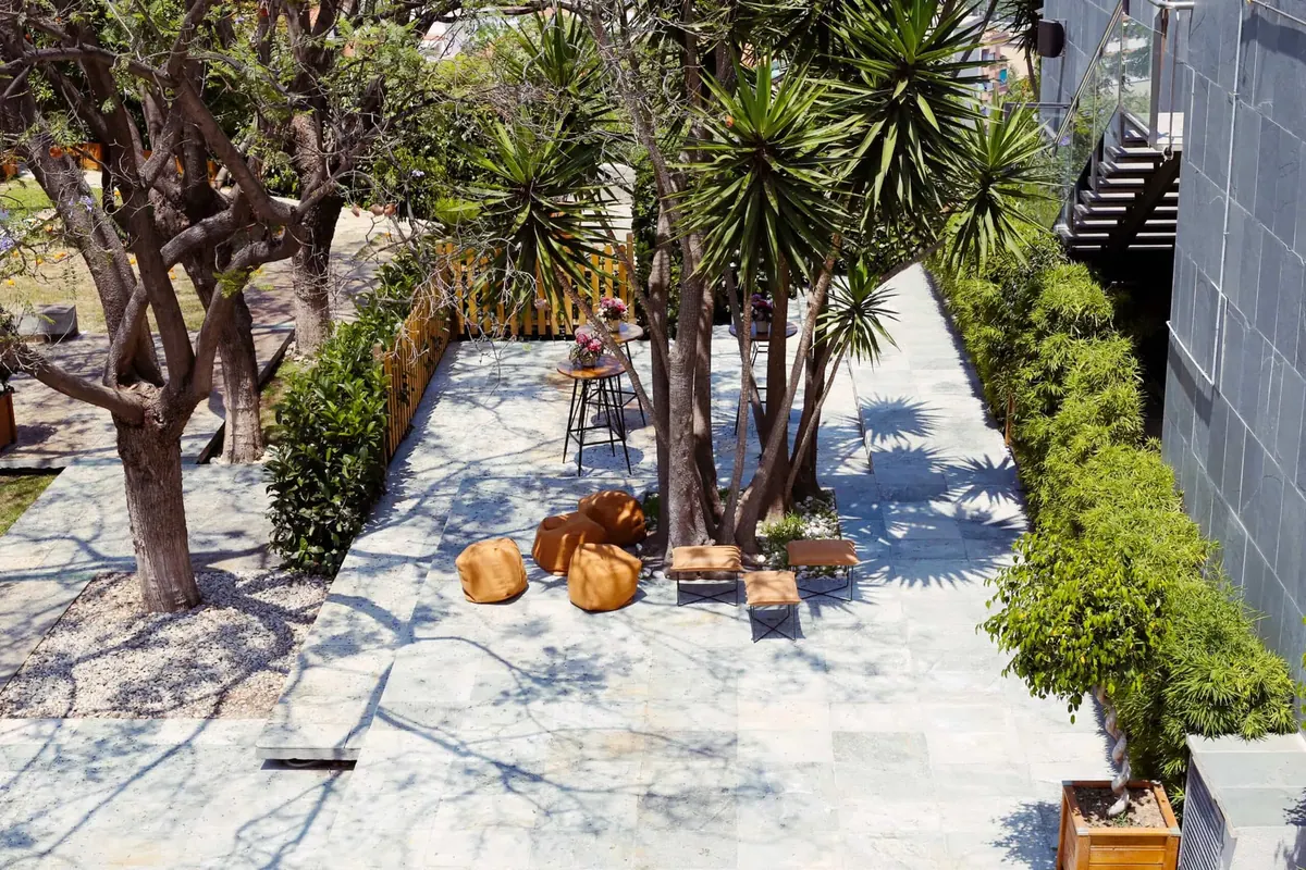 Terraza Miramar — foto 4